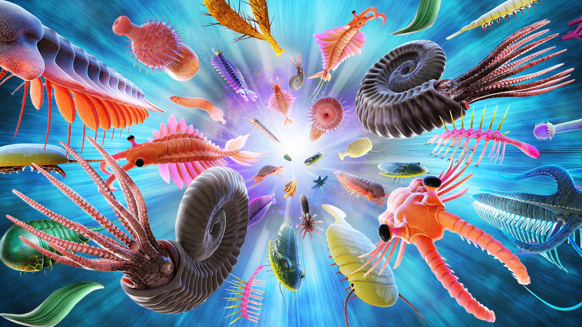 Illustrated Cambrian-era sea creatures, representing the sudden appearance of animal body plans in the fossil record